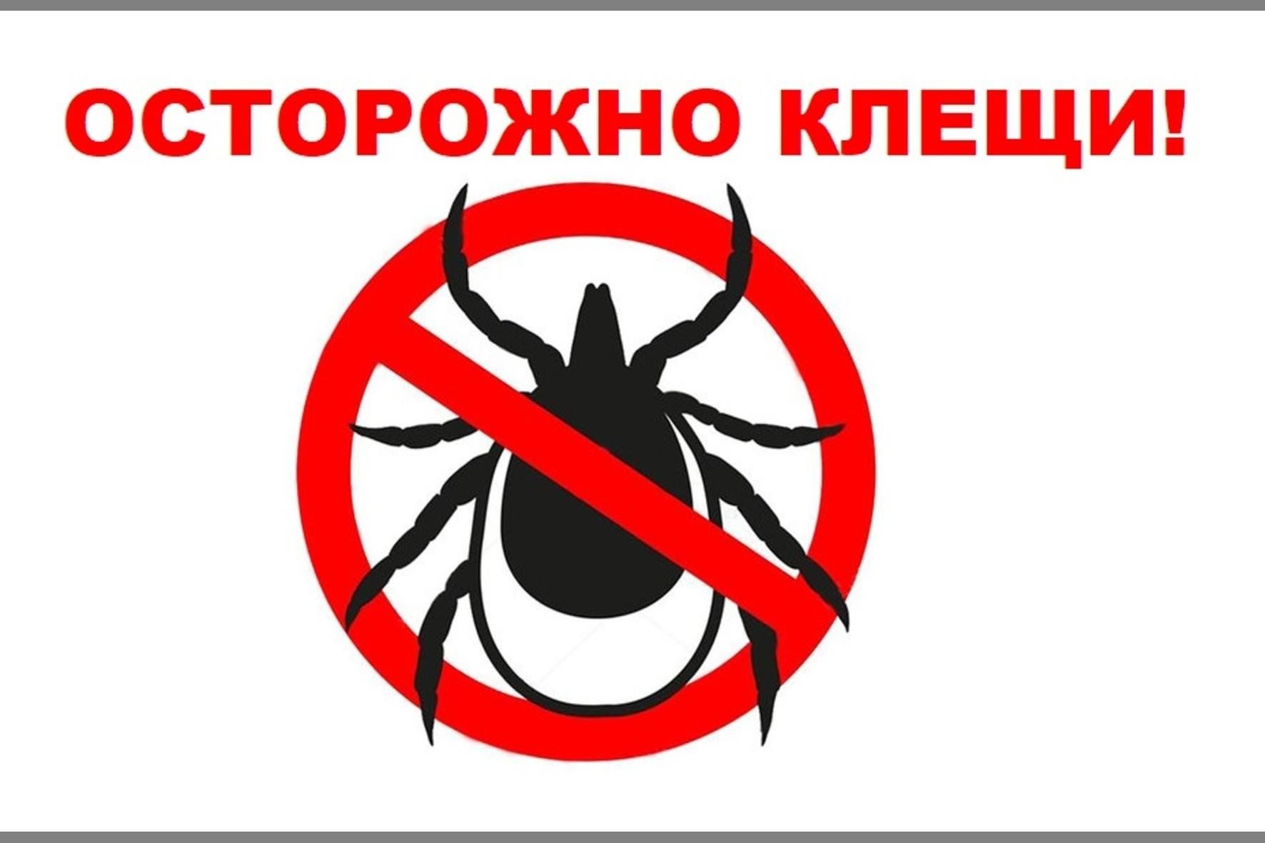 Иксодовые клещи.